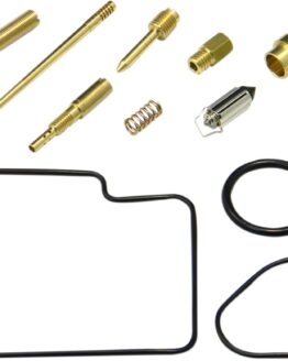 Carburetor Repair Kit