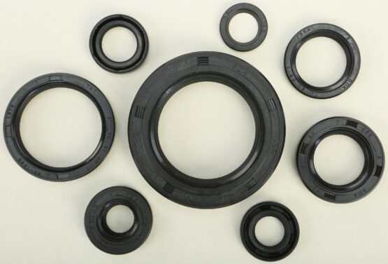 Oil Seal Kit