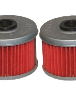 HF113 Oil Filter - 2 Pack
