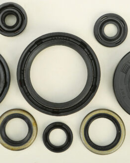 Vertex Oil Seal Kit Fits 98-05 Kawasaki KX125