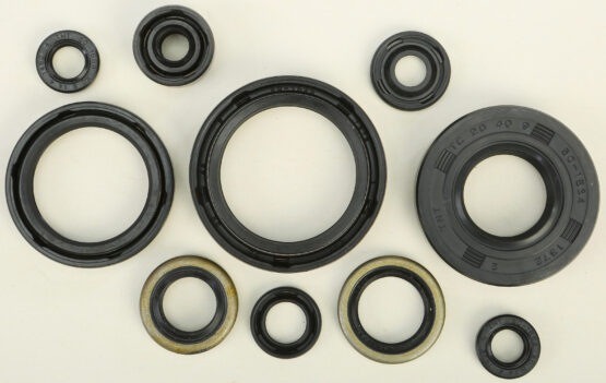 Oil Seal Kit