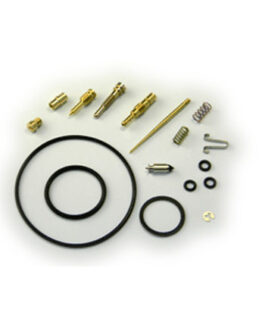 Carburetor Repair Kit