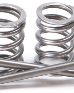 Steel Intake Valve/Spring Kit
