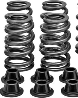 Racing Valve Spring Kit