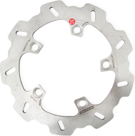 Race Rear Rotor