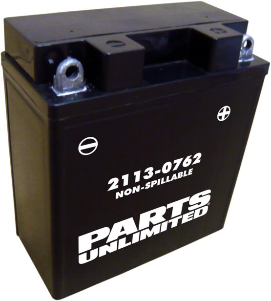 Conventional Battery 12V 5Ah Factory Activated