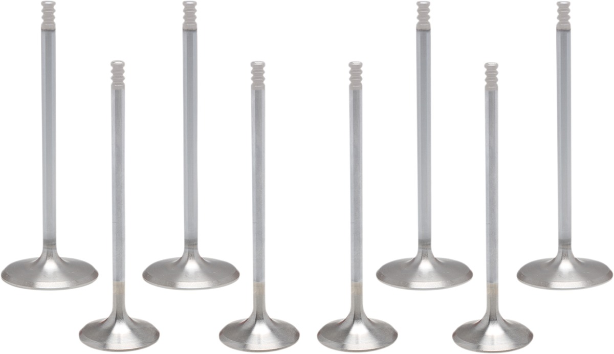 06B1E9F3-A638-4A2C-A961-7472B27D4977.jpg 06B1E9F3-A638-4A2C-A961-7472B27D4977.jpg