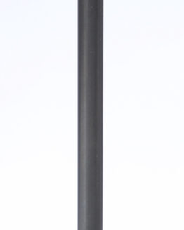 Black Diamond Intake Valve