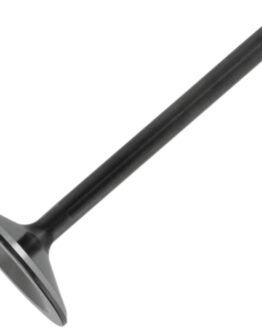 Single Black Diamond Intake Valve - Standard Size For TC88 99-04