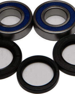 Wheel Bearing & Seal Kit