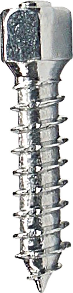 10022_fe757cdb.jpg 10022_fe757cdb.jpg