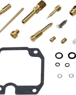 Carburetor Repair Kit