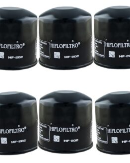 HF202 Oil Filter - Black - 6 Pack