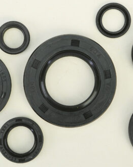 Vertex Oil Seal Kit Fits 85-00 Honda XR600R