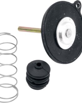 Carb Pump Diaphragm Valve Sets