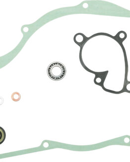 Water Pump Repair Kit