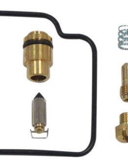 Carburetor Repair Kit