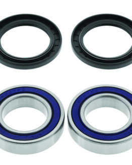 94-95 Polaris 300 2x4 (03) Rear ATV Wheel Bearing & Seal Kit