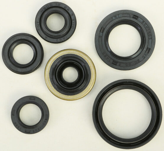 Oil Seal Kit