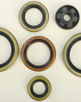 Vertex Oil Seal Kit 822370 Fits 16-17 KTM Husqvarna