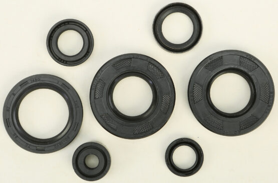 Oil Seal Kit