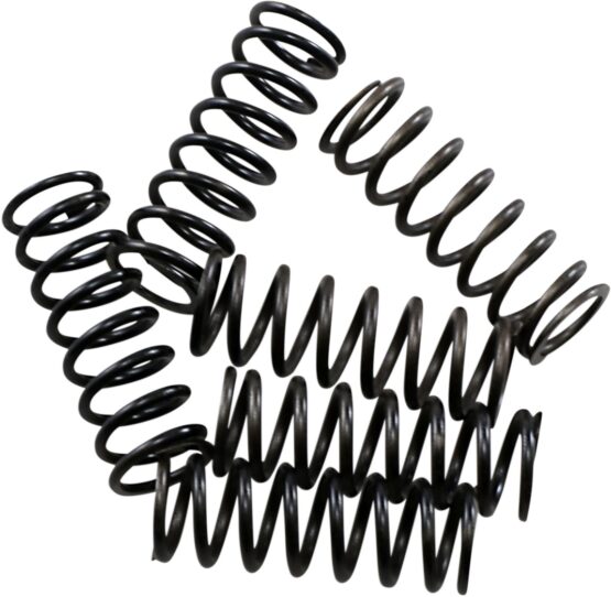 High Temperature Clutch Spring Kit - Image 2