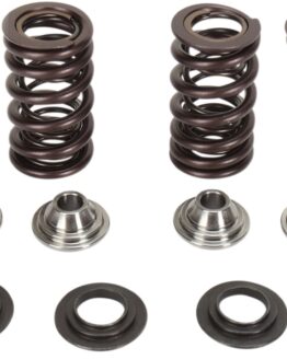 Racing Valve Spring Kit