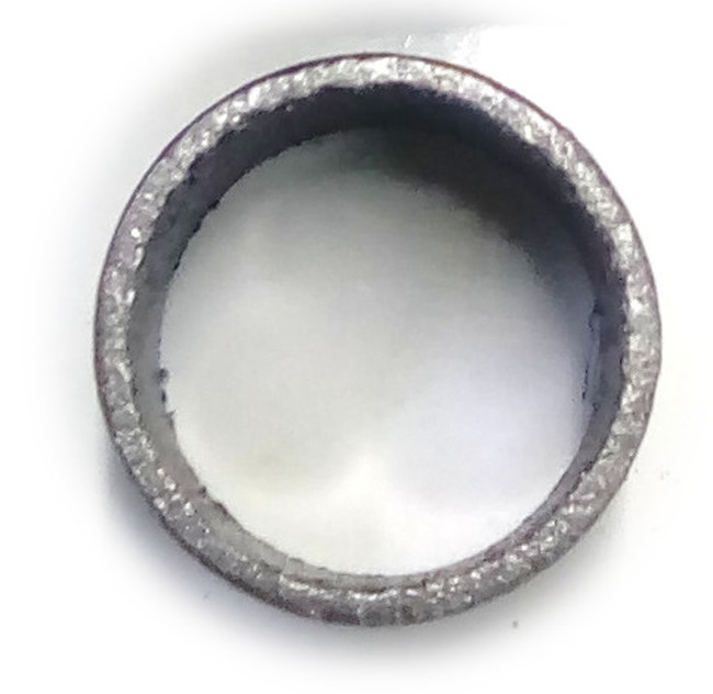 16-5579_SINGLEKL.jpg 16-5579_SINGLEKL.jpg