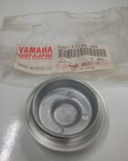 Cylinder Head Side Cover 22F-11186-00-00 Fits select Yamaha YFM80 TTR125 XV125S