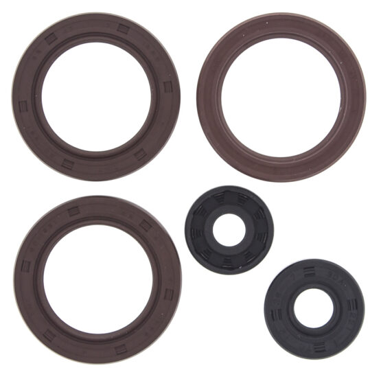 Oil Seal Kit