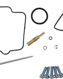 Carburetor Repair Kit