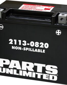 Factory Activated AGM Maintenance Free Battery 320CCA 12V 18Ah