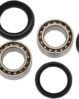 Pivot Works Front Wheel Bearing Kit Double Seal Fits 07-16 Honda TRX420