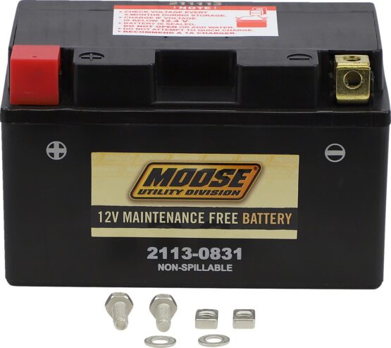 Factory Activated YTZ AGM Maintenance Free Battery 190CCA 12V 8.6Ah