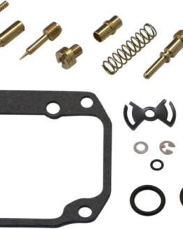 Carburetor Repair Kit