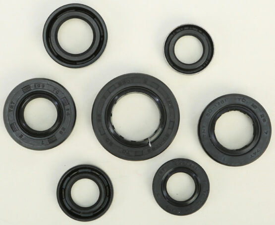 Oil Seal Kit