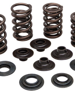 Racing Valve Spring Kit