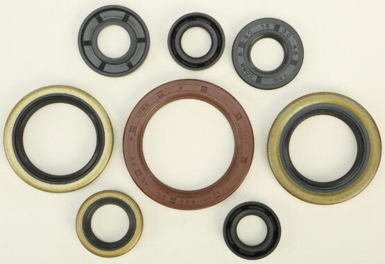 Oil Seal Kit