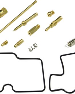 Carburetor Repair Kit