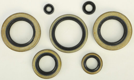 Oil Seal Kit