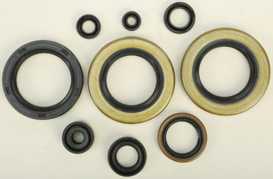 Oil Seal Kit