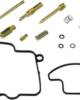 Carburetor Repair Kit