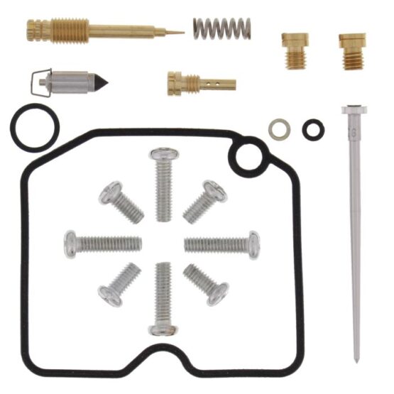 Carburetor Repair Kit