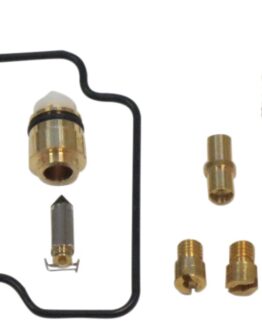 Carburetor Repair Kit