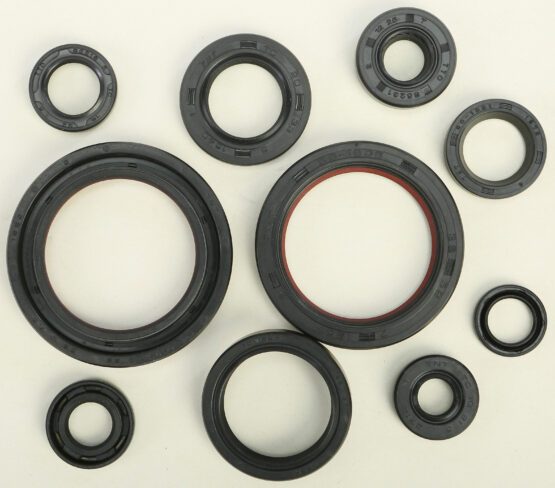 Oil Seal Kit