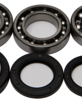 Rear Differential Bearing & Seal Kit