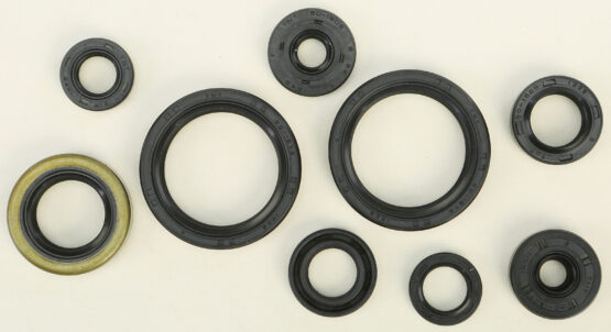 Oil Seal Kit