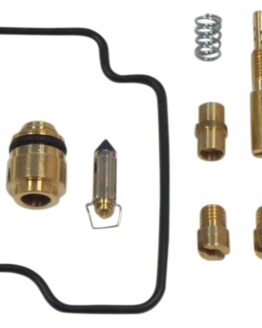 Carburetor Repair Kit