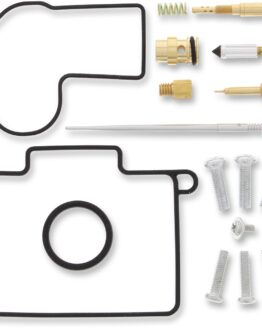 Carburetor Repair Kit