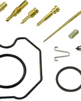 Carburetor Repair Kit